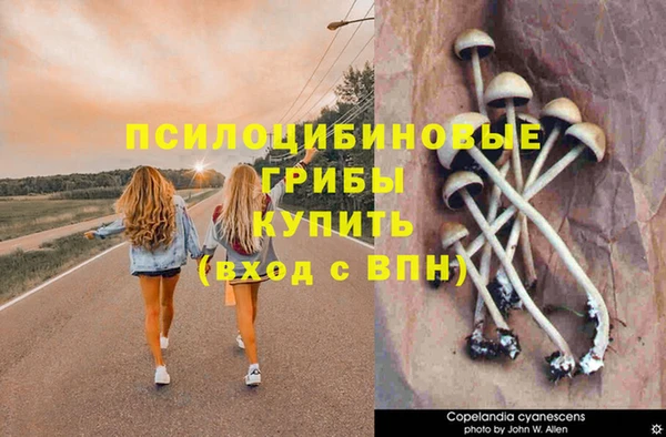 герыч Арсеньев