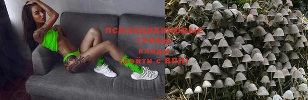 герыч Арсеньев